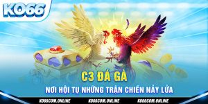 c3-da-ga-noi-hoi-tu-nhung-tran-chien-nay-lua