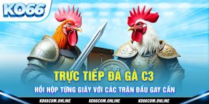 truc-tiep-da-ga-c3-hoi-hop-tung-giay-voi-cac-tran-dau-gay-can