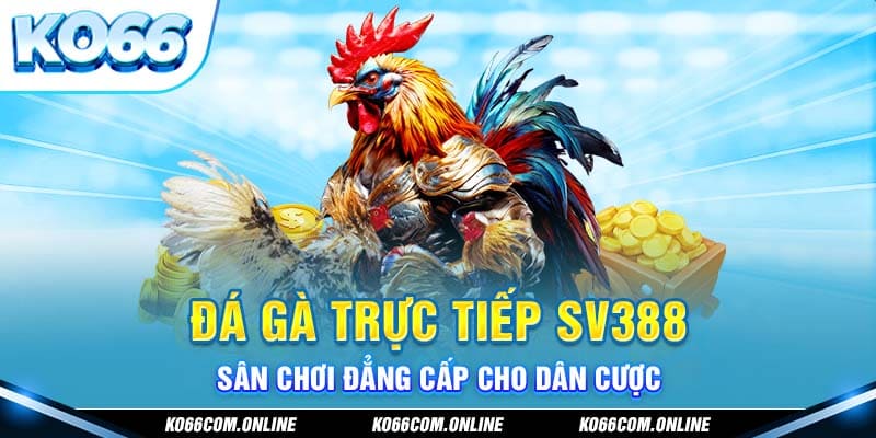 da-ga-truc-tiep-sv388-san-choi-dang-cap-cho-dan-cuoc