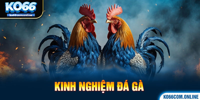 kinh-nghiem-da-ga