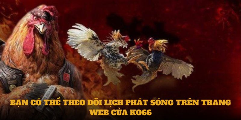 Bạn có thể theo dõi lịch phát sóng trên trang web của Ko66