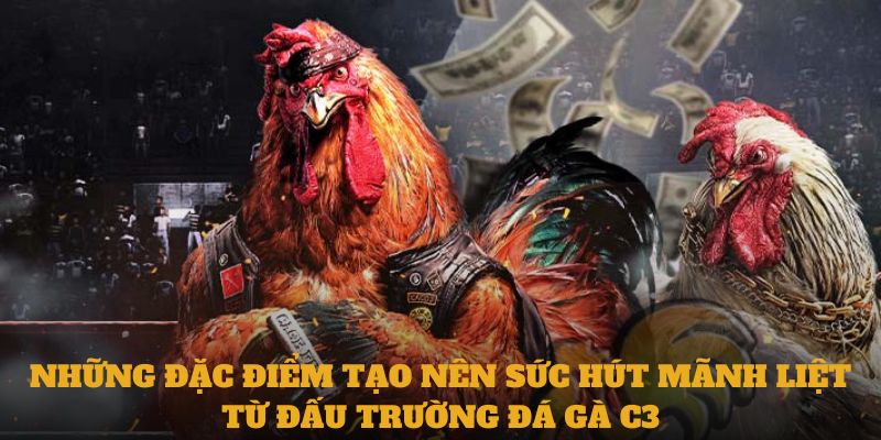 Những đặc điểm tạo nên sức hút mãnh liệt từ đấu trường đá gà C3