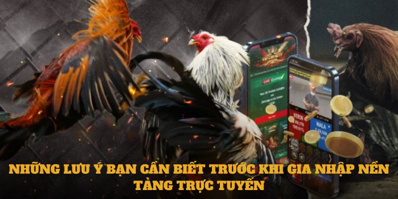 Những lưu ý bạn cần biết trước khi gia nhập nền tảng trực tuyến