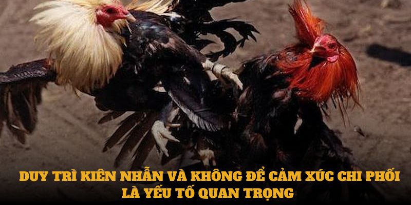 Duy trì kiên nhẫn và không để cảm xúc chi phối là yếu tố quan trọng 