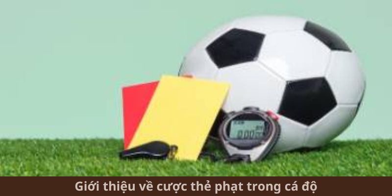 Giới thiệu về cược thẻ phạt trong cá độ