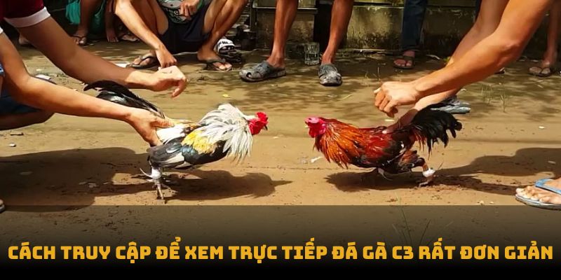 Cách truy cập để xem trực tiếp đá gà c3 rất đơn giản